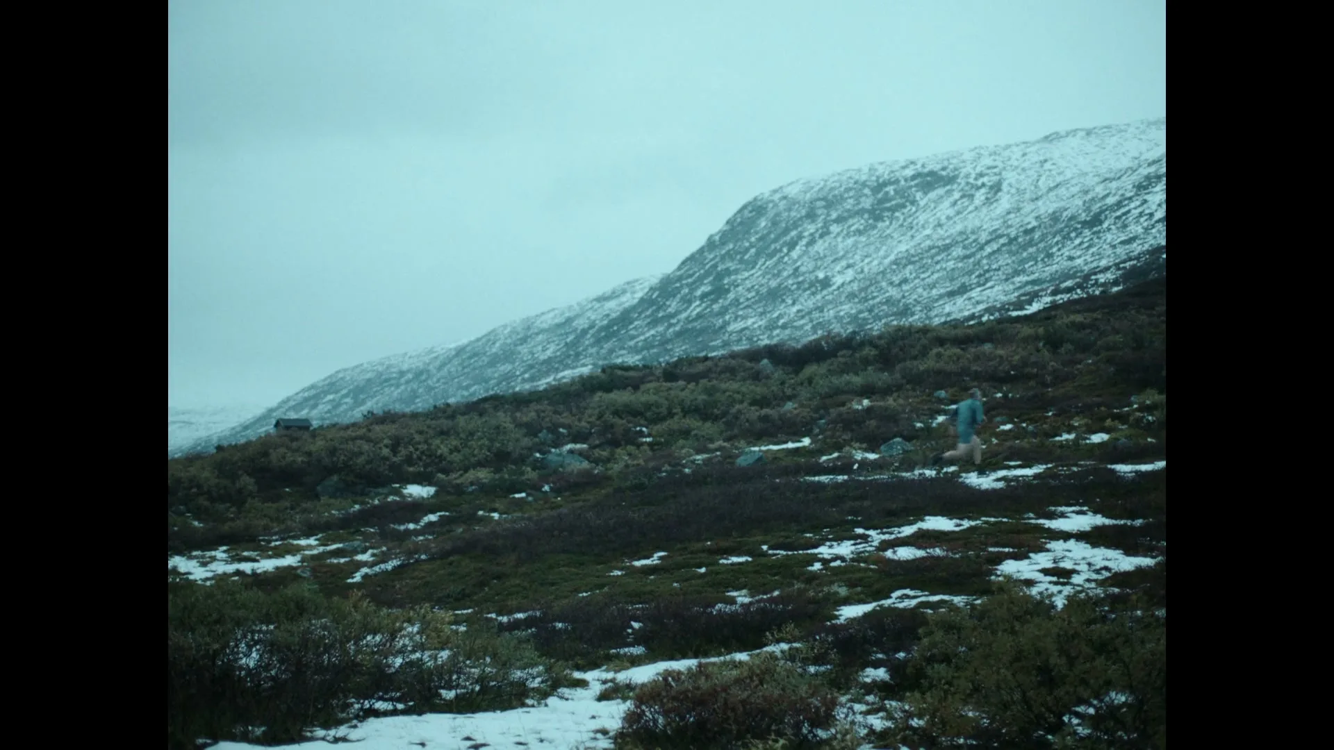 A person in a blue jacket runs across a snowy, shrub-covered mountain landscape under a cloudy sky.