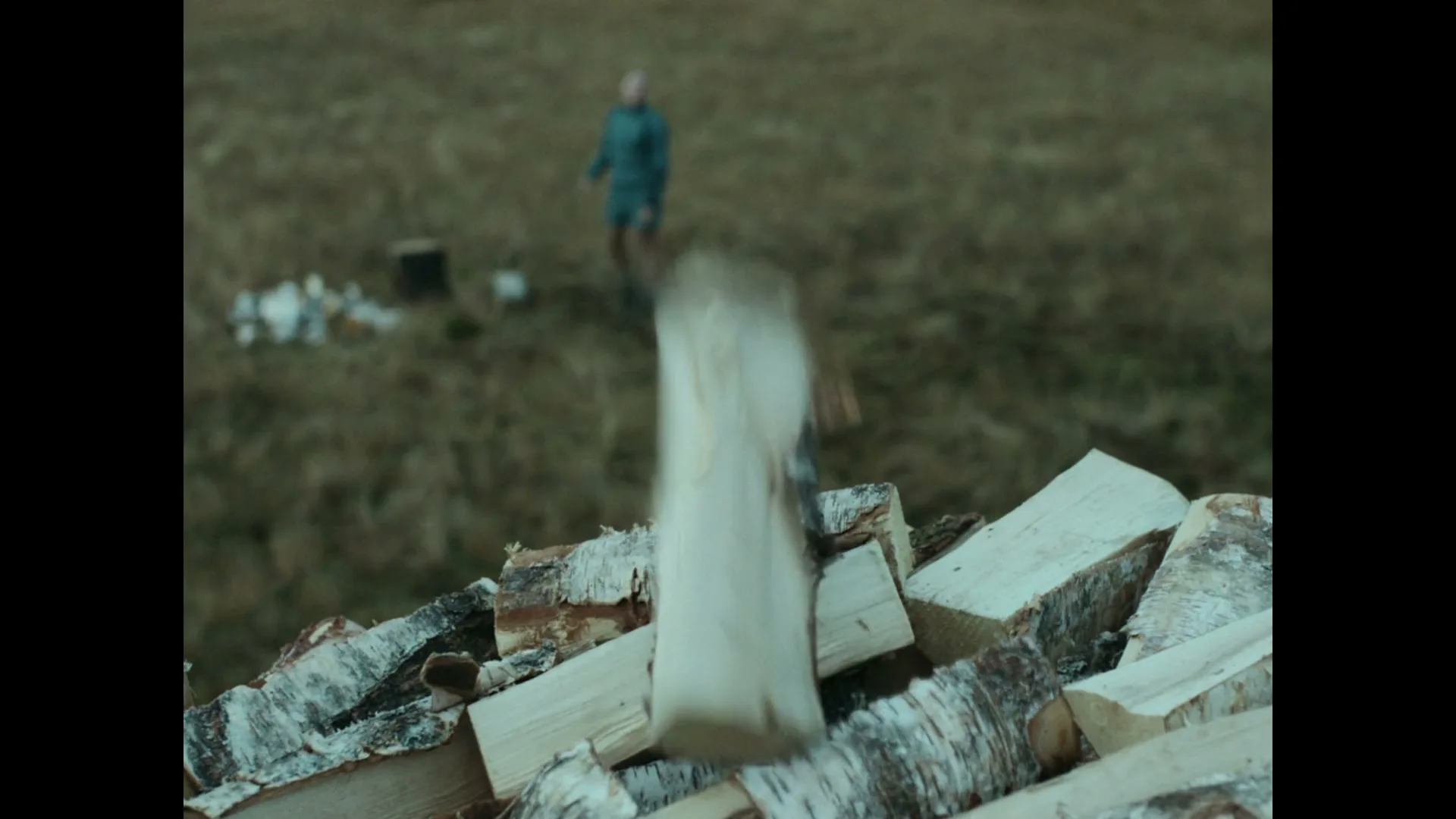 A person in a teal jacket and shorts throws a log onto a pile of firewood in a grassy field on a cloudy day.