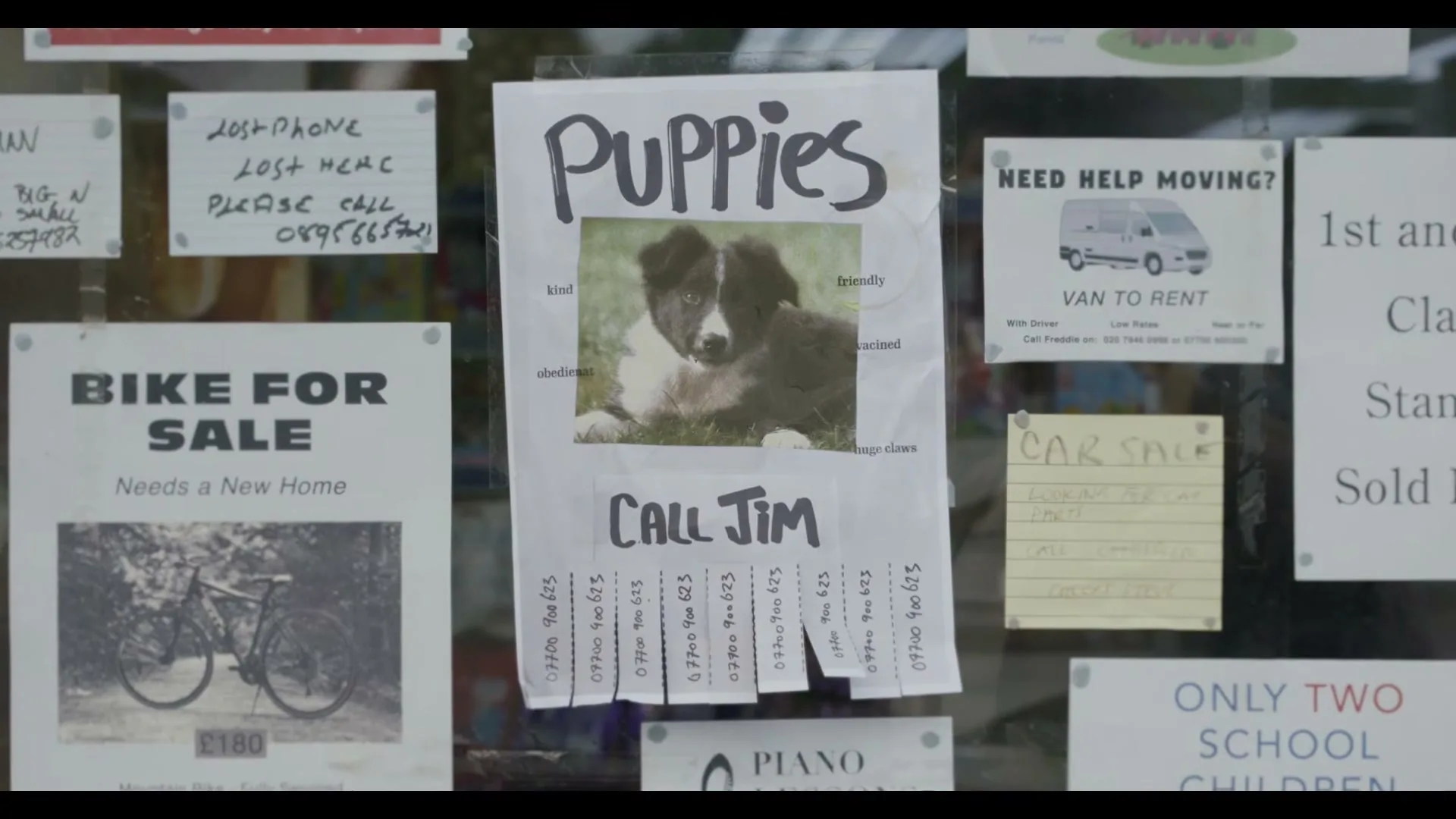 A close-up shot of a bulletin board with various flyers, including one advertising puppies for sale, seen through a window.