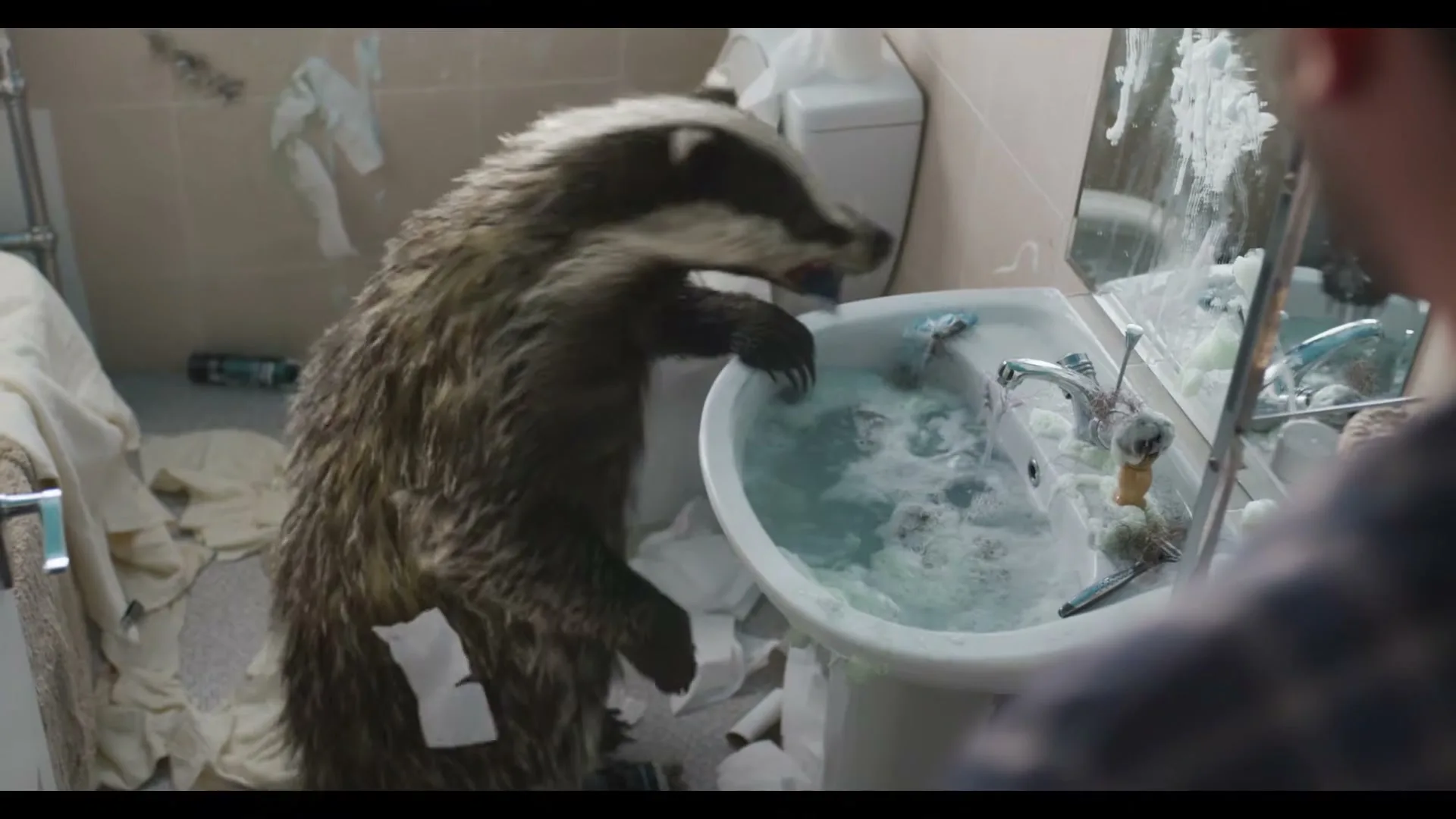 A badger stands on its hind legs, splashing water and making a mess in a bathroom sink, with toilet paper strewn around.