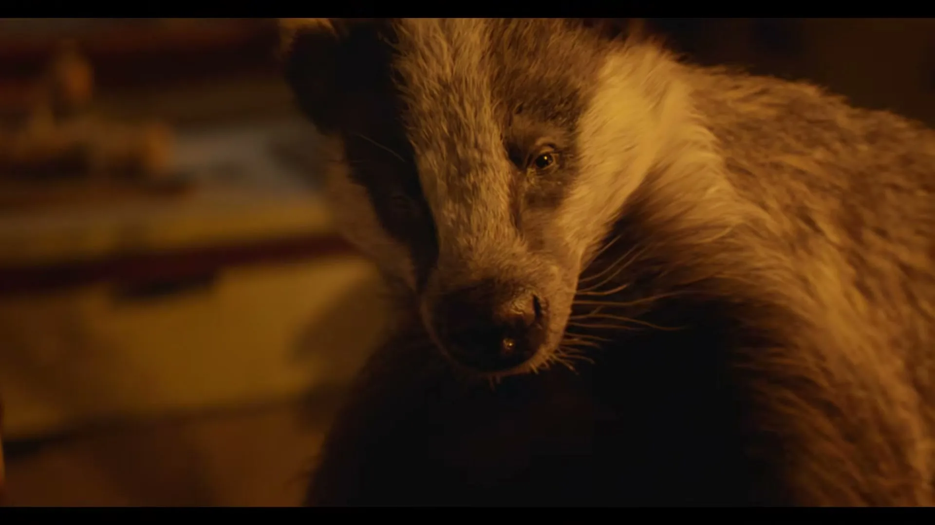 A CGI badger with dark and white stripes on its face looks directly at the camera in a dimly lit, warm-toned interior setting.