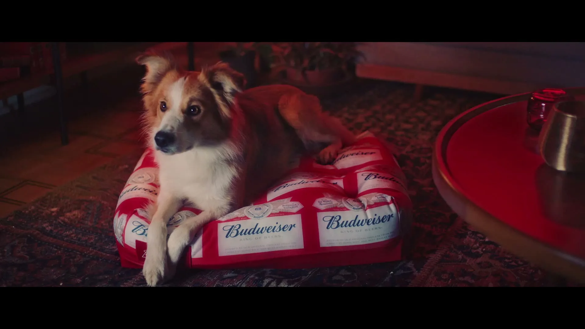 AB InBev “Pets Throne”, directed by VIRA-LATA