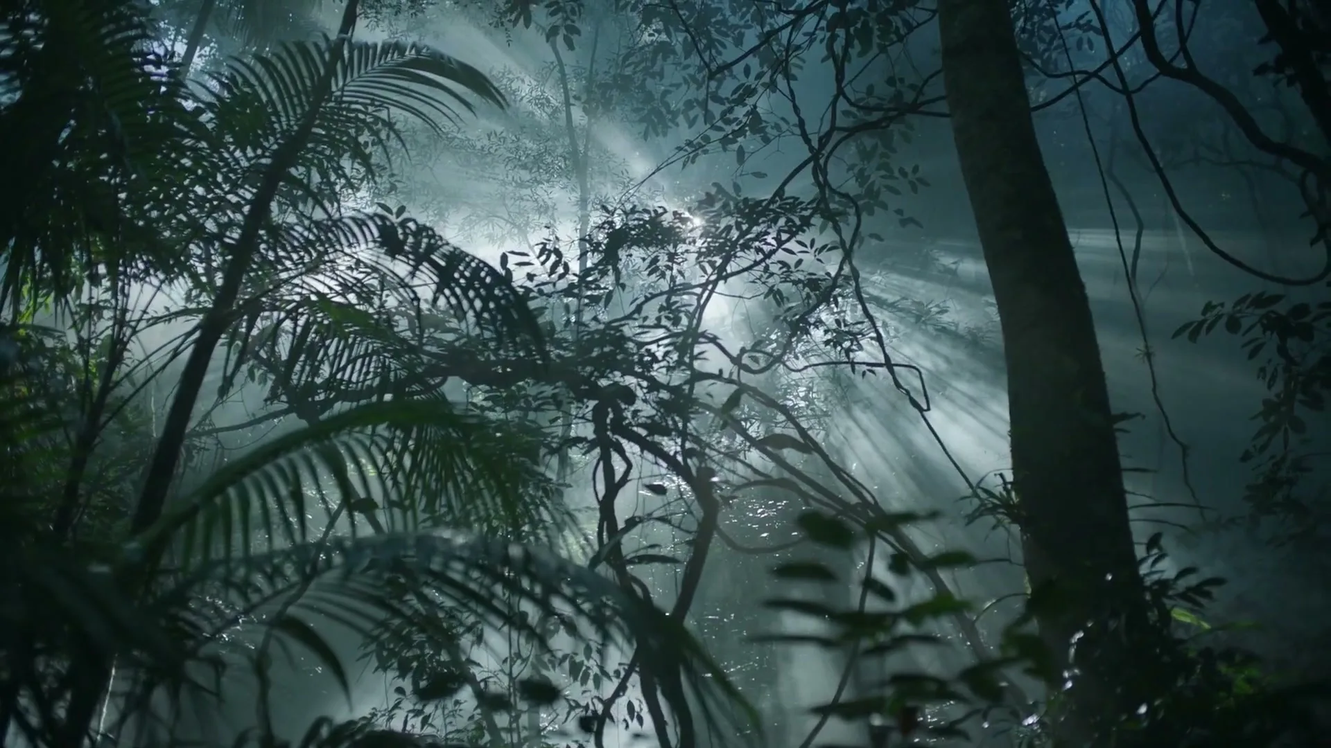 Accenture “Changing Tree” (2024), frame 2
