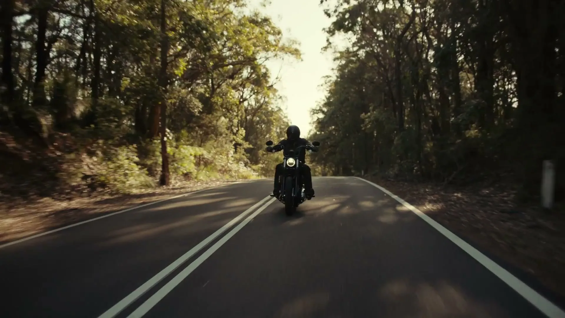 Transport for New South Wales “Transport NSW - Drive Like Everything's Out To Get You” (2026), frame 3