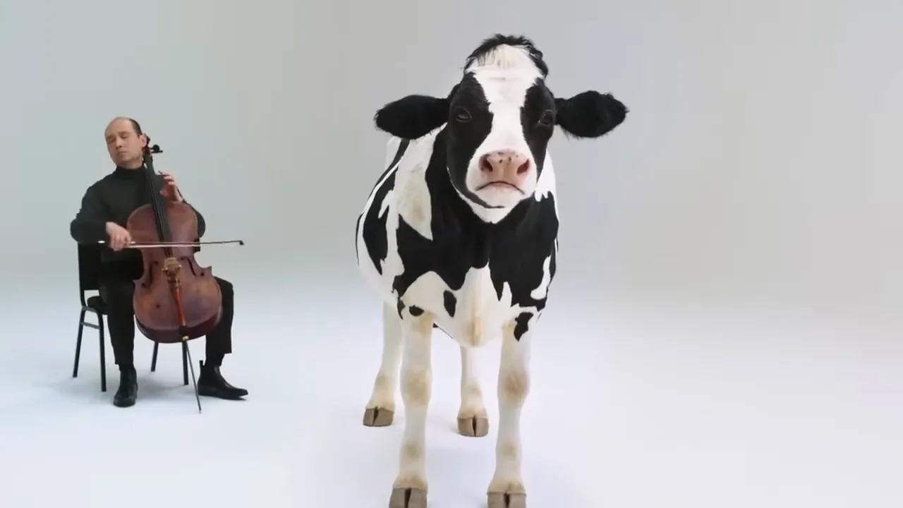 Flora “Skip the Cow”, shot 2