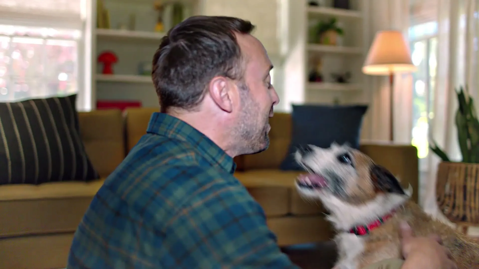 PetSmart “Something Worth Wagging About” (2024), frame 2