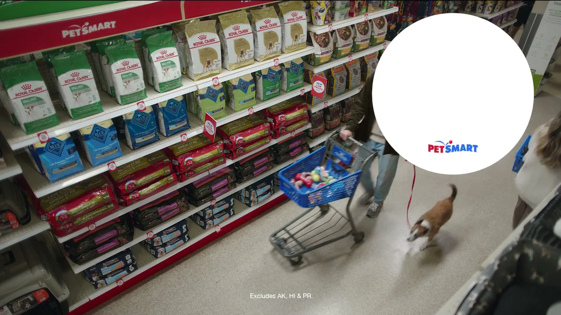 PetSmart “Something Worth Wagging About” (2024), frame 5
