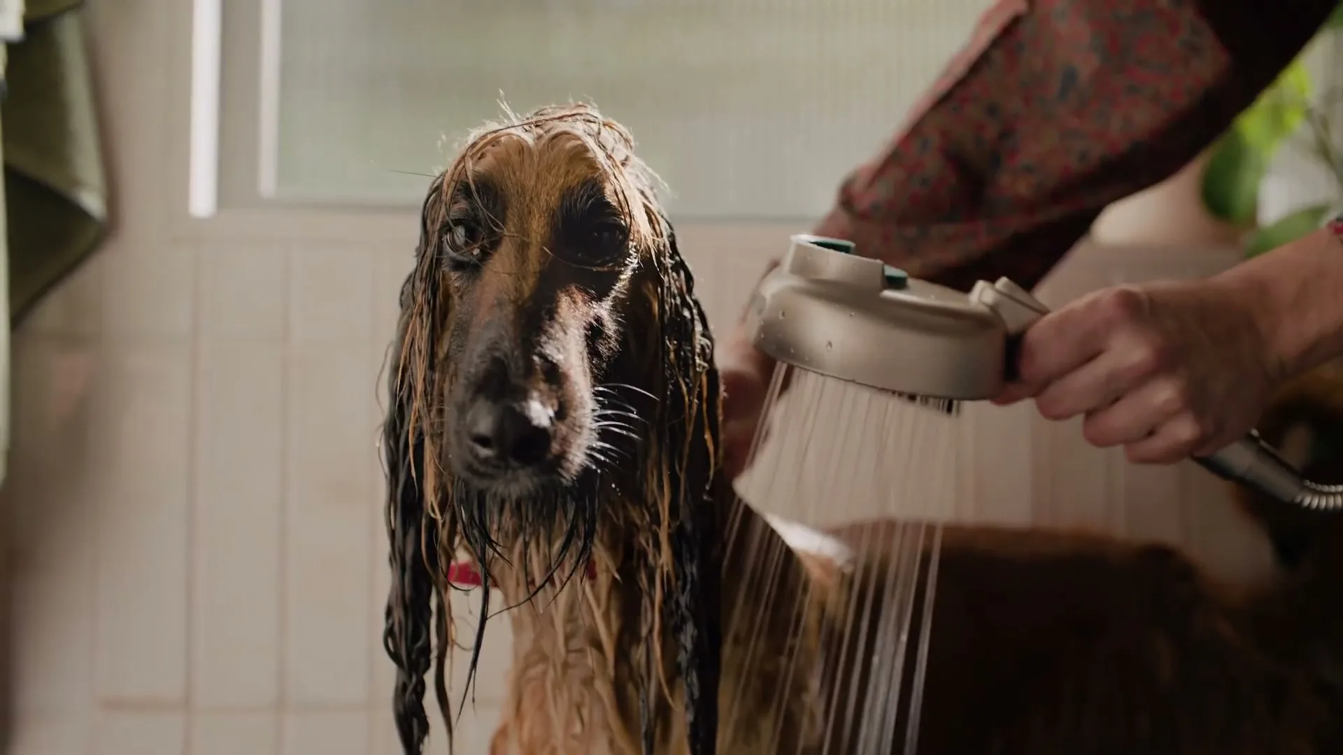 Moen "Must be a Moen" (2026) commercial still