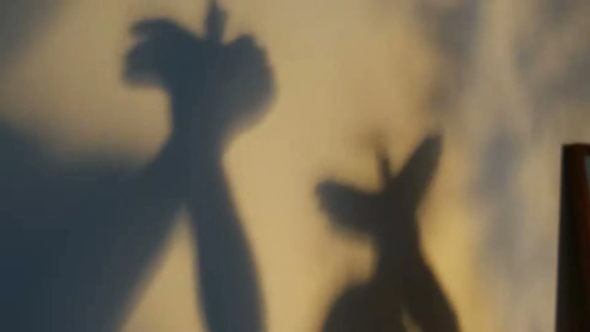 Two sets of hands create shadow puppets on a sunlit wall, one resembling a bird, the other a rabbit, in an interior setting.