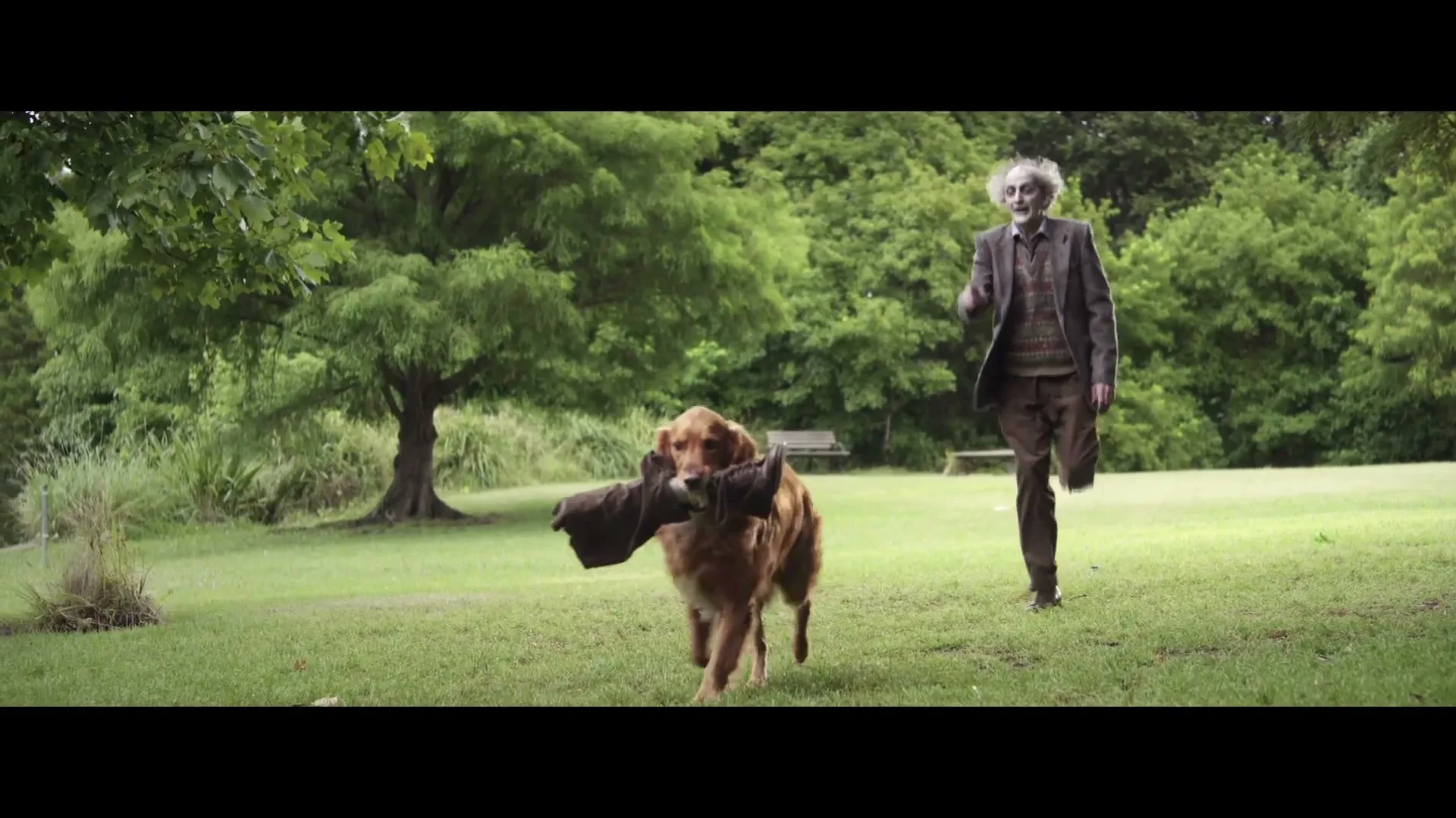 Disney+ "Zombies" (2023) commercial still