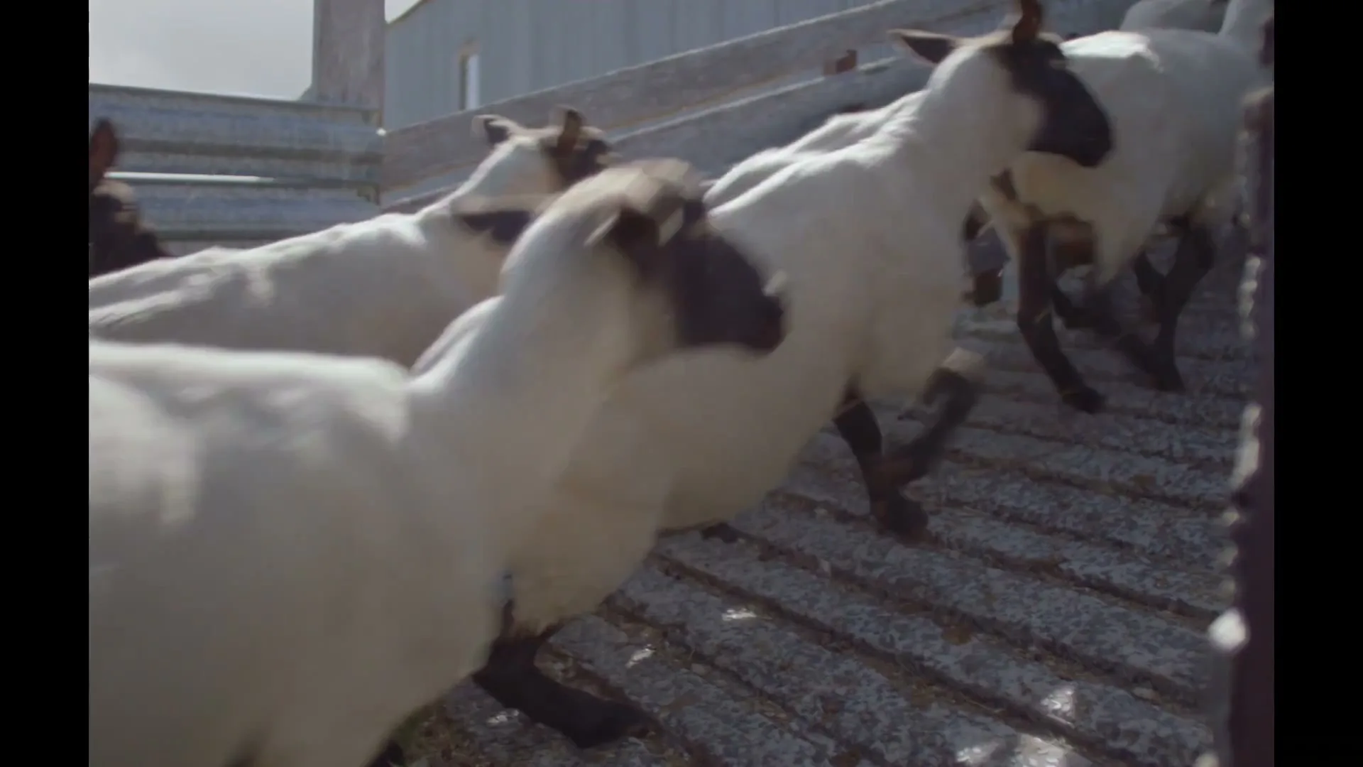 Target “Winter Sense”, directed by Rob Stanton-Cook