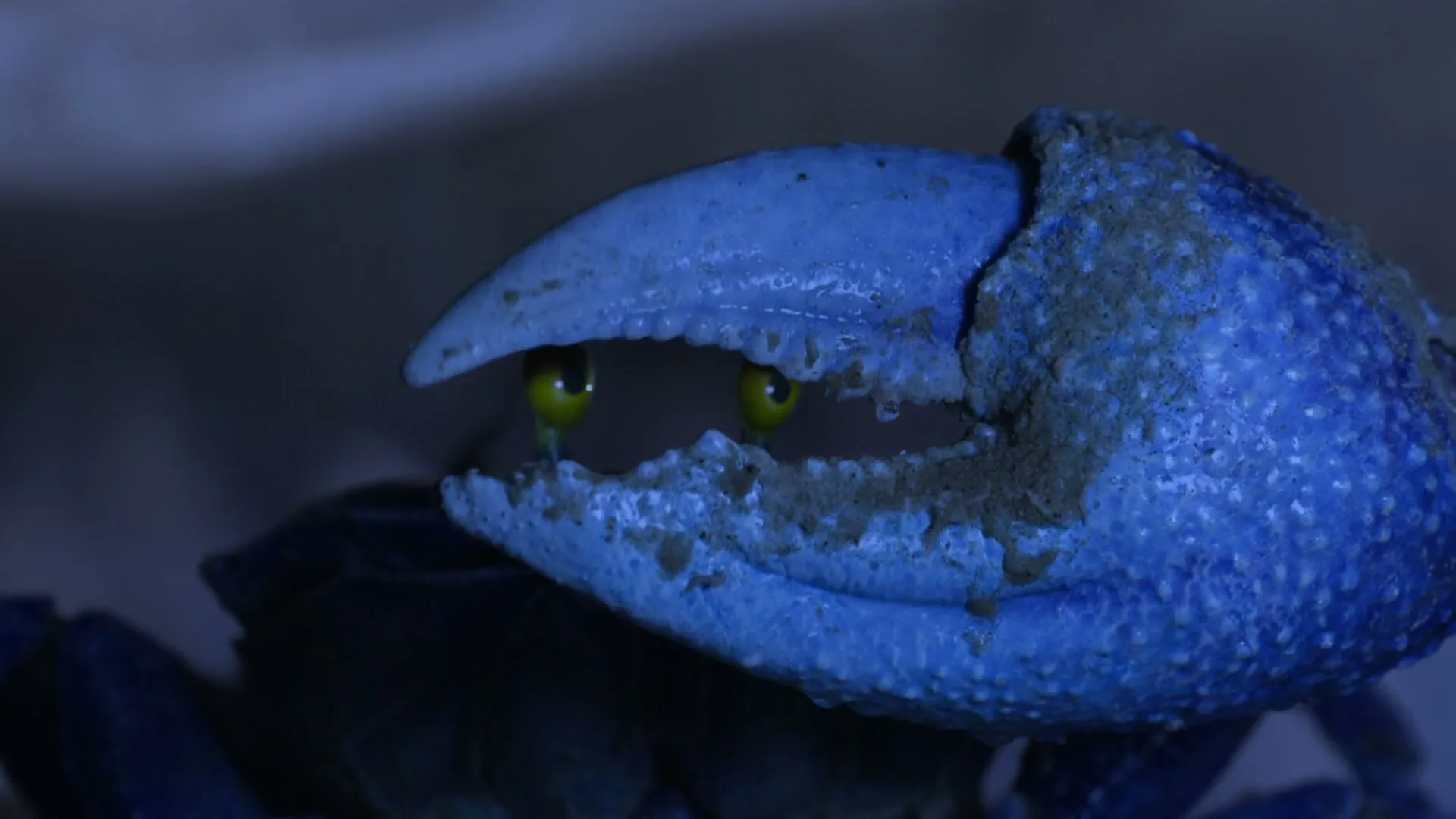 DFS “Animals” (2023), frame 6