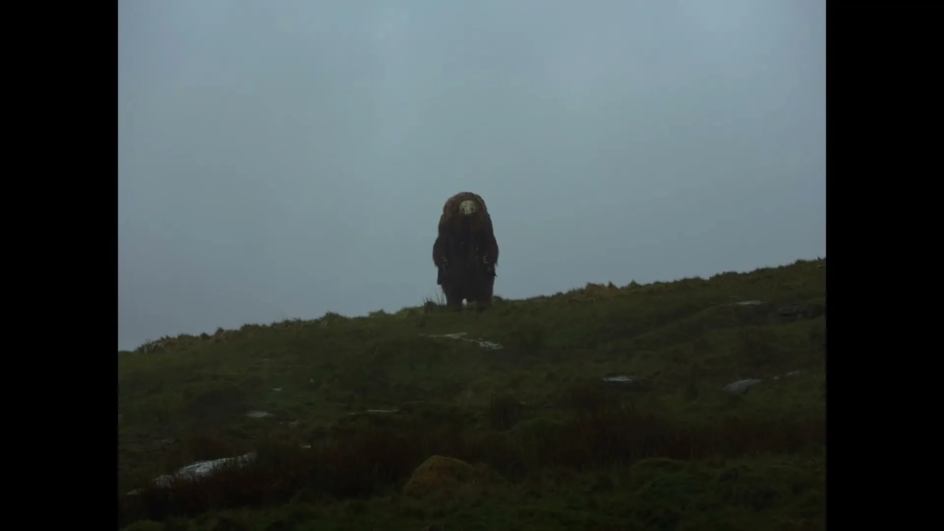 Short Film "A Bear Remembers" (2025) commercial still