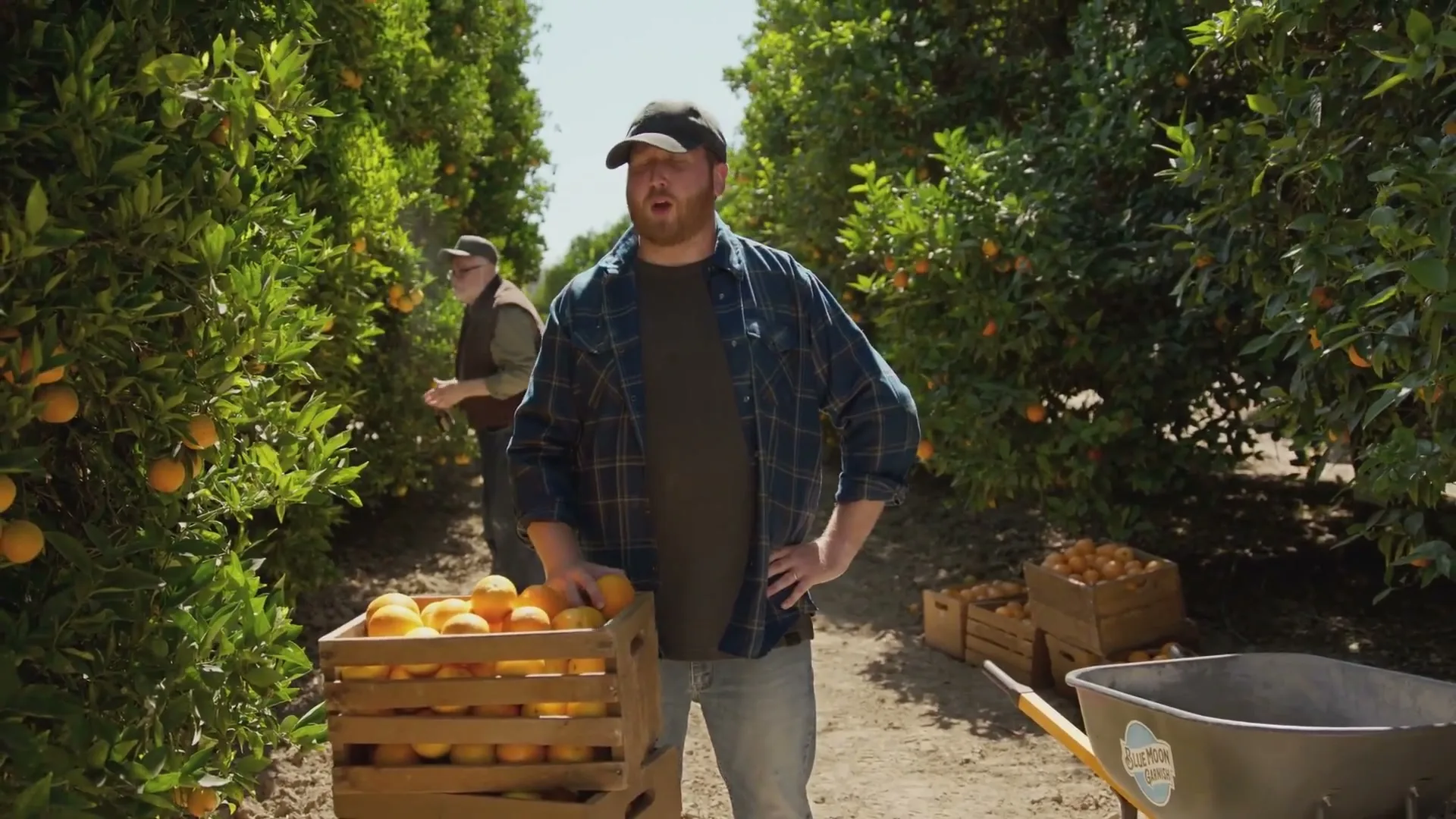 Molson Coors Beverage Company "Blue Moon - Orange" (2025) commercial still