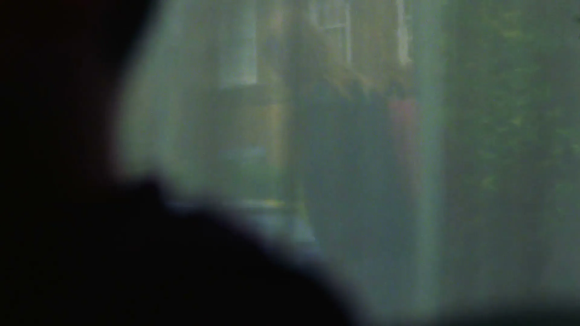 A blurry, out-of-focus shot from a POV inside a car, looking out a window at a house and green foliage.