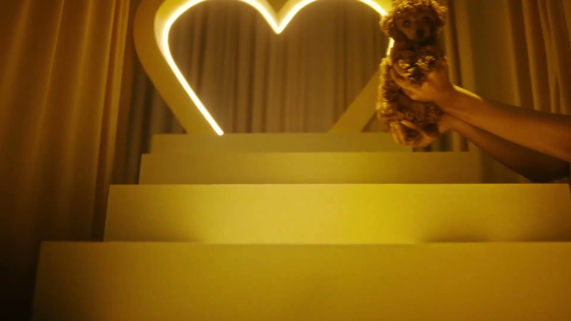 Petbarn "Puppies and Kittens" (2024) commercial still