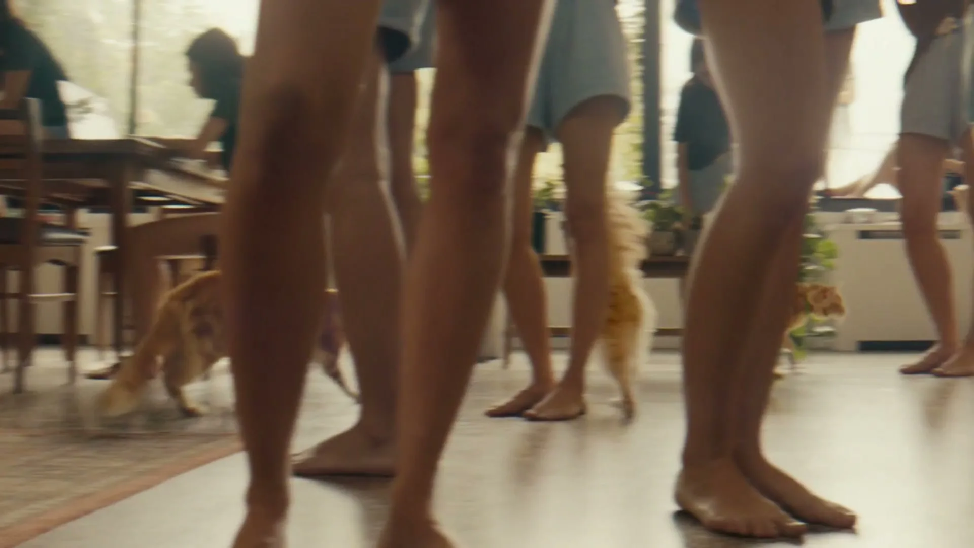 IAMS "Legs Healthy Adult" (2025) commercial still