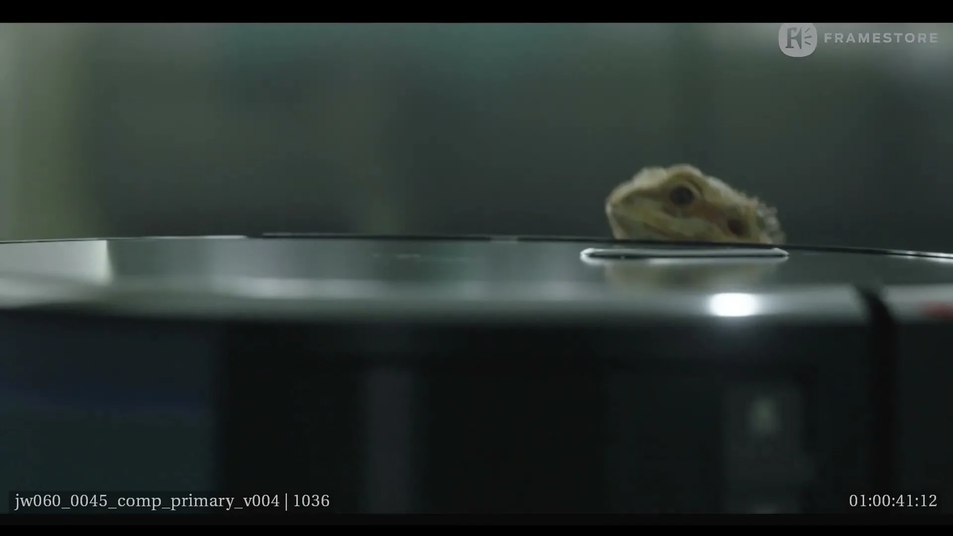 A small, light brown bearded dragon slowly emerges from behind a dark, reflective surface in a dimly lit interior.