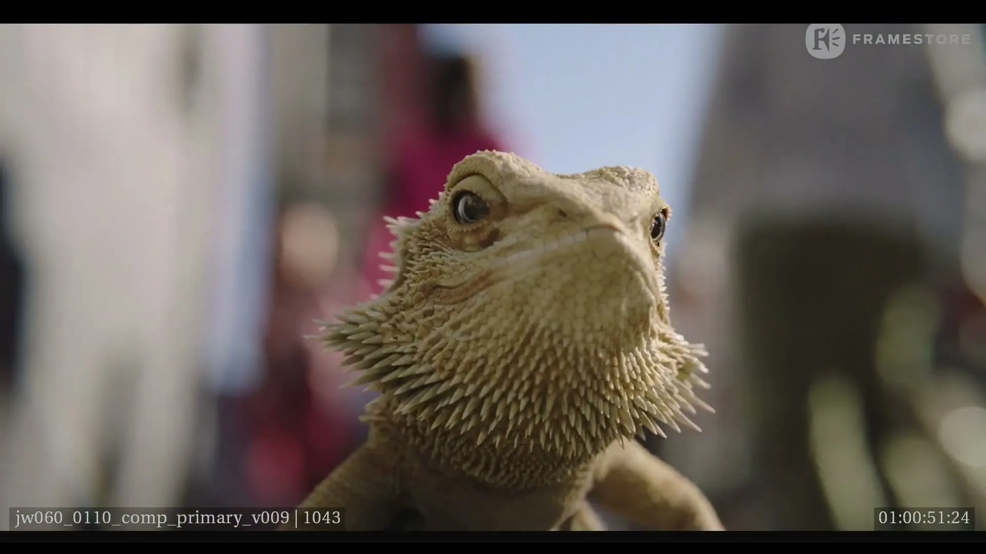 A bearded dragon looks directly at the camera, its head slightly tilted, with blurred people and a bright sky in the background.