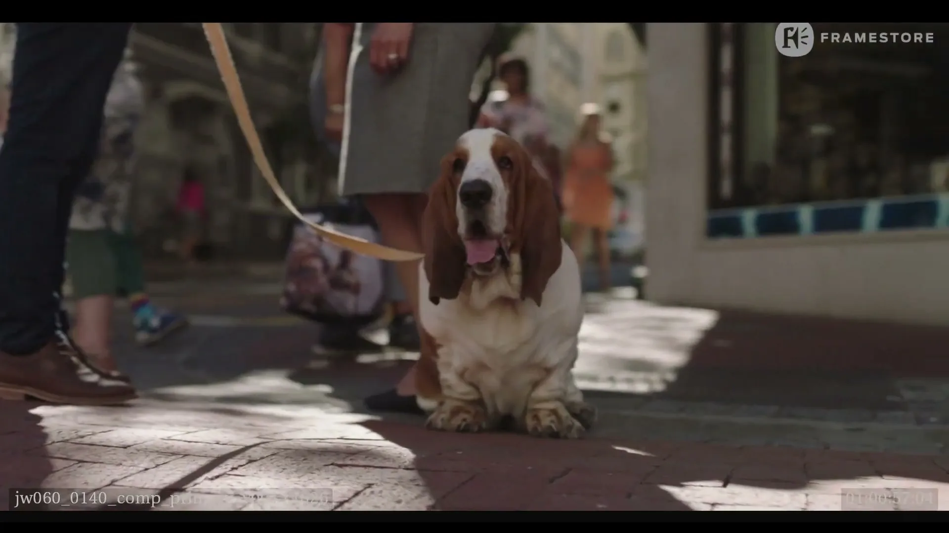 A basset hound dog sits on a sunny brick sidewalk, looking at the camera, as people walk past its owner's legs in a busy street.