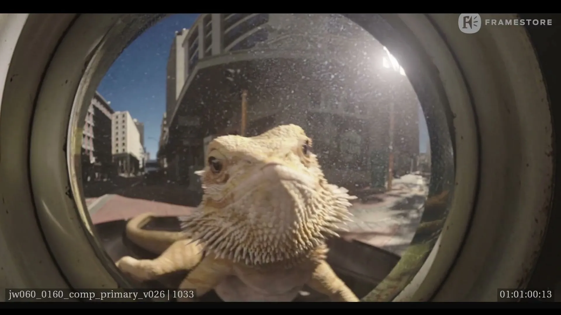A bearded dragon looks directly into the camera through a circular opening, with a city street visible in the background.