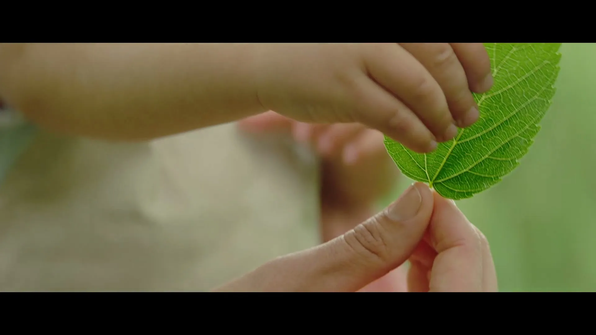 Swisse "Ultinatal Pre Conception" (2023) commercial still
