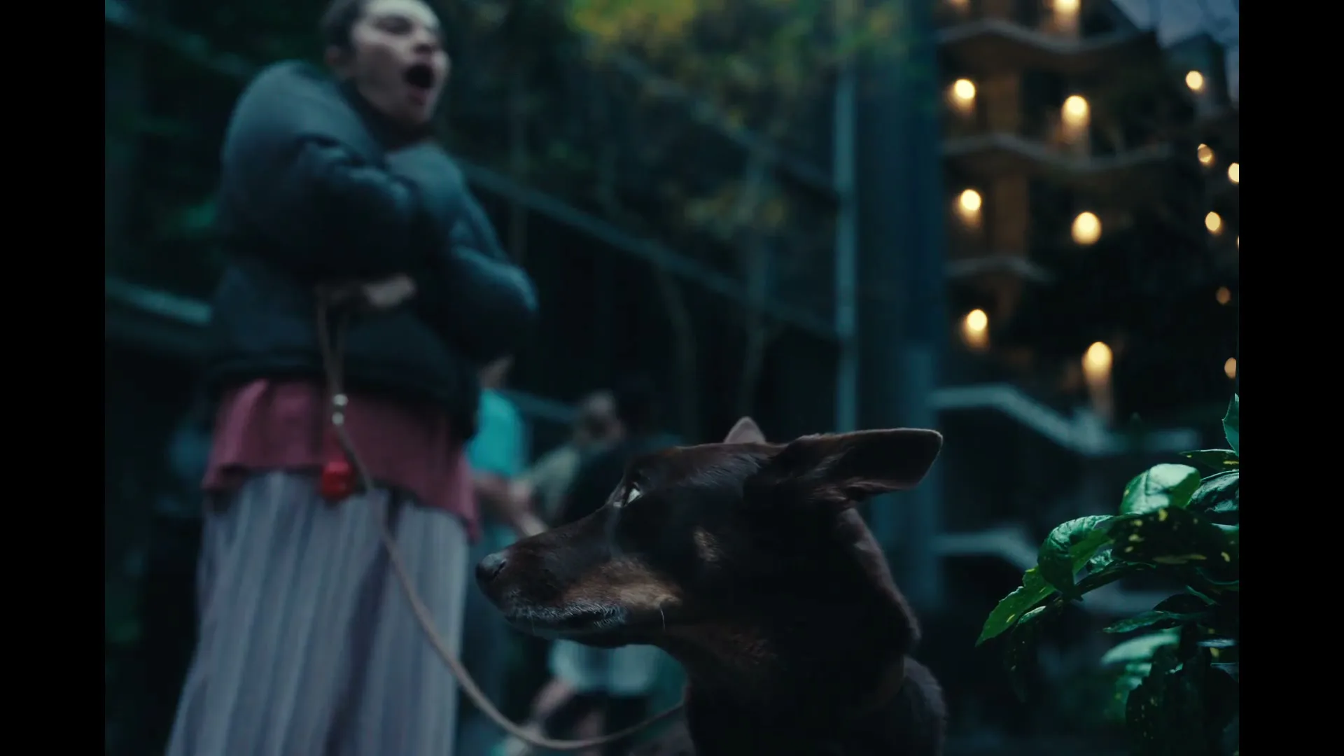 Westpac “Dog” (2026), frame 3