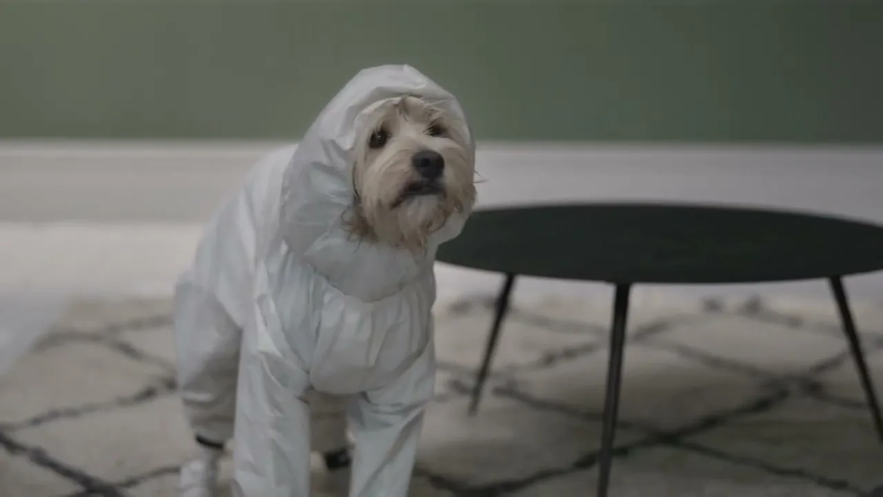 Farrow & Ball “Protection” (2022), frame 6