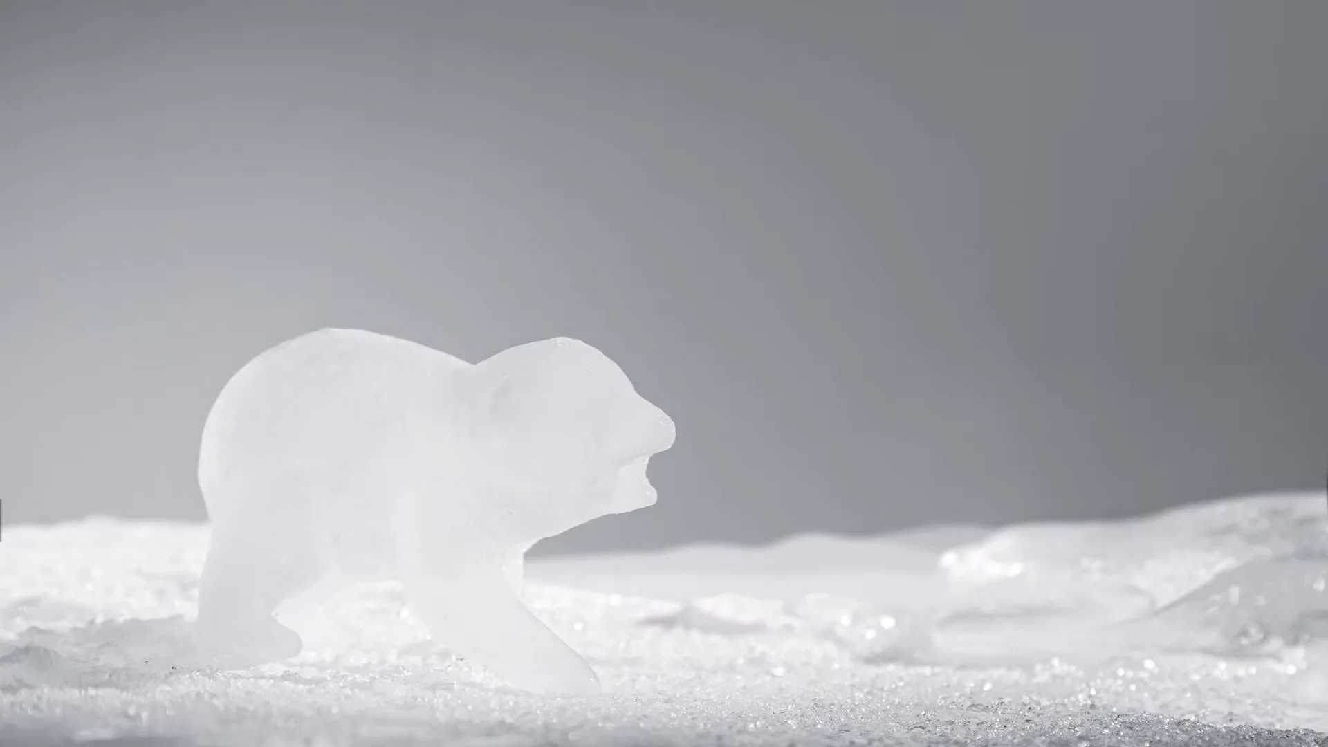 A small ice sculpture of a polar bear melts and collapses into a puddle on a white surface against a grey background.