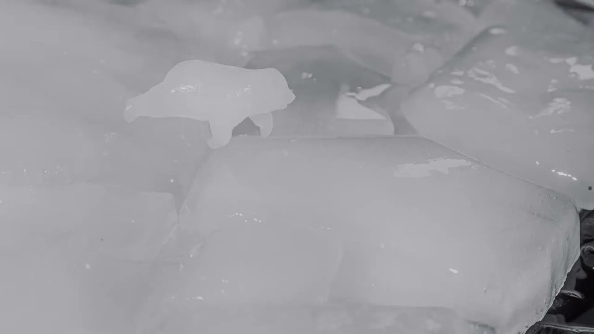 A small, melting ice sculpture of a polar bear stands on a bed of ice cubes, slowly dissolving into water.