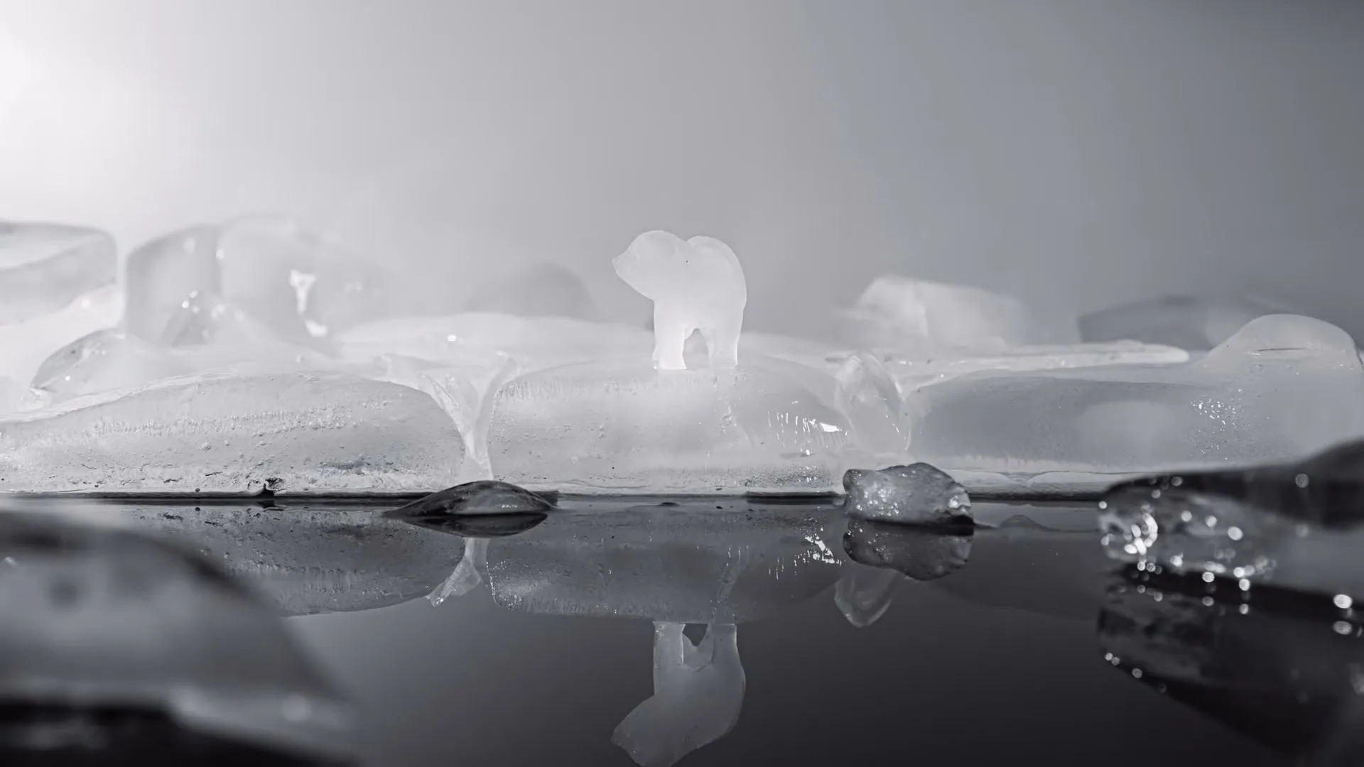 A small, translucent ice sculpture of a polar bear stands on a melting ice floe, surrounded by other ice pieces and water, in a studio setting.