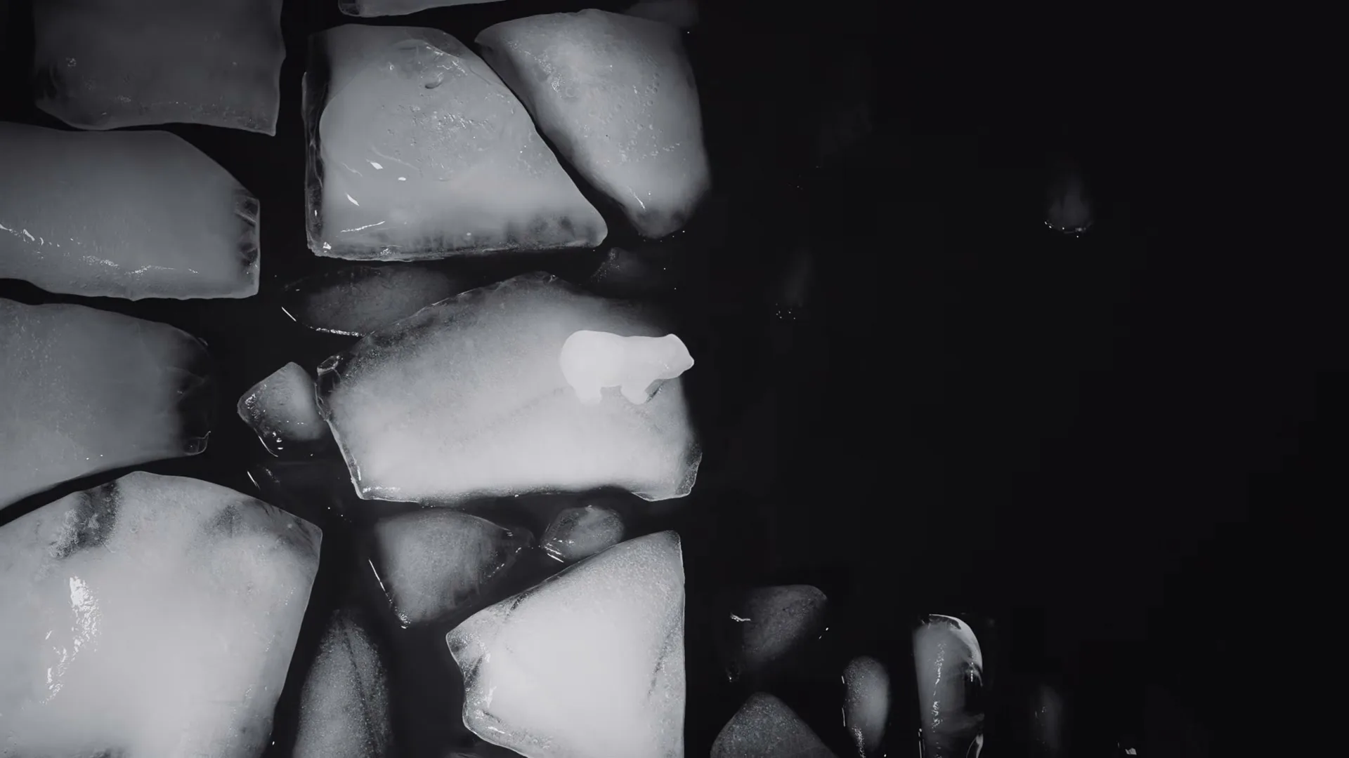 WWF “Cant Negotiate the melting point of ice” (2022)