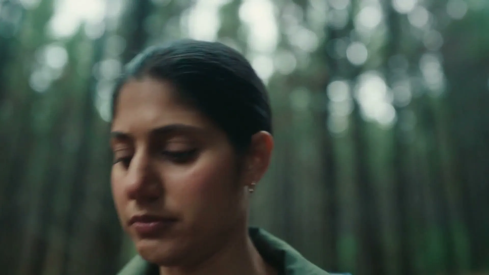 Whittaker's “Favourite Walk” (2026), frame 4