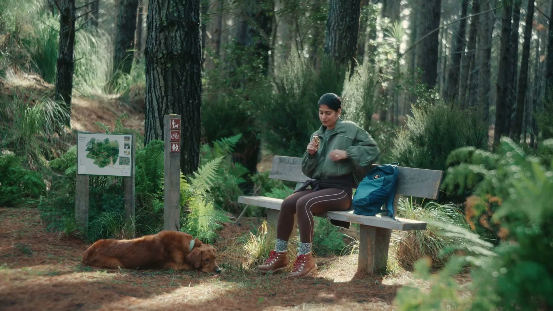 Whittaker's “Favourite Walk” (2026), frame 6