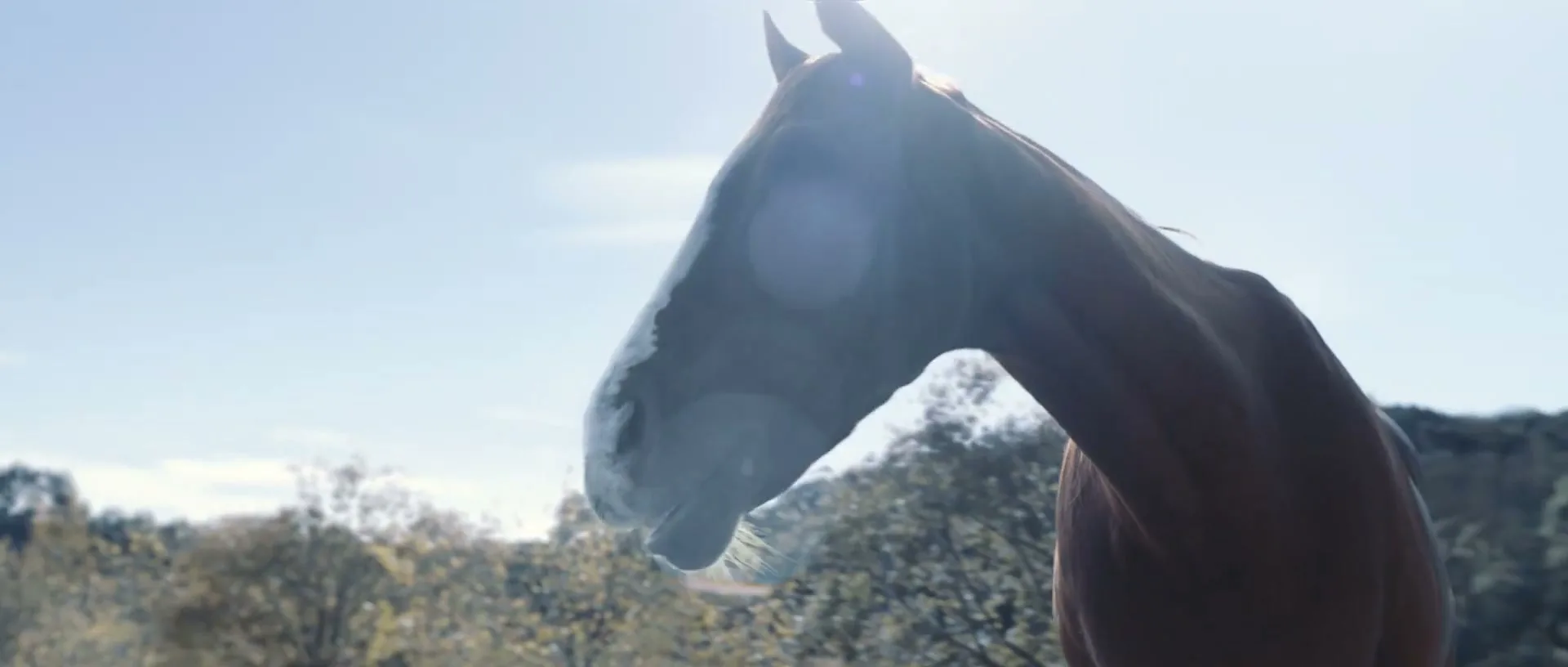 Sky "The Watch" (2023) commercial still