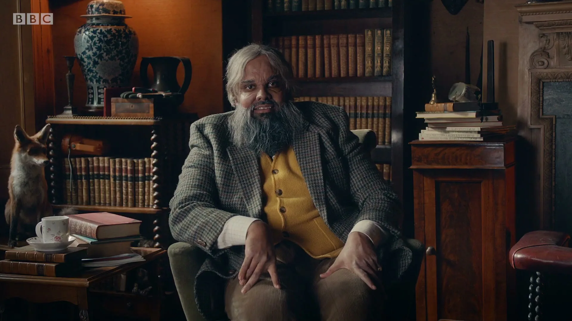 A man with a long grey beard and hair sits in an armchair, wearing a tweed jacket and yellow vest, in a dimly lit room with bookshelves.