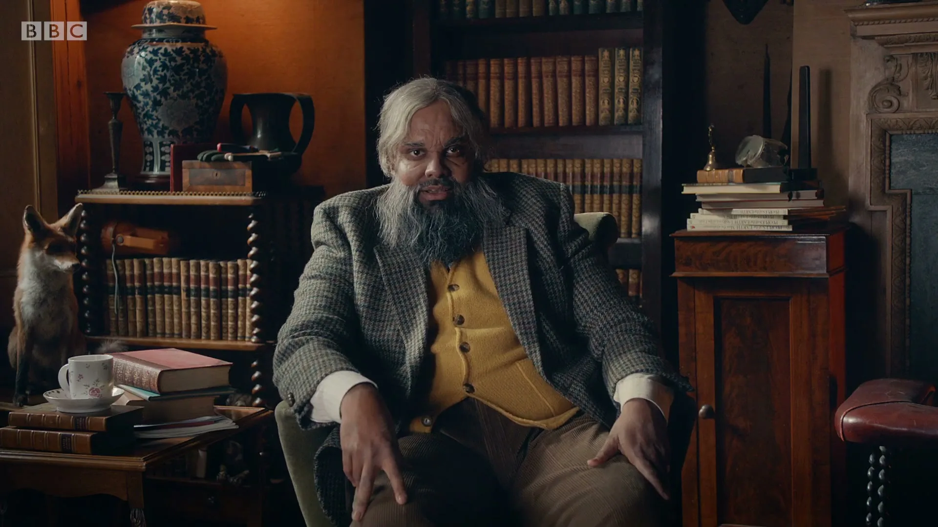 A man with a long grey beard and hair, wearing a tweed jacket and yellow vest, sits in a chair in a dimly lit room with bookshelves.