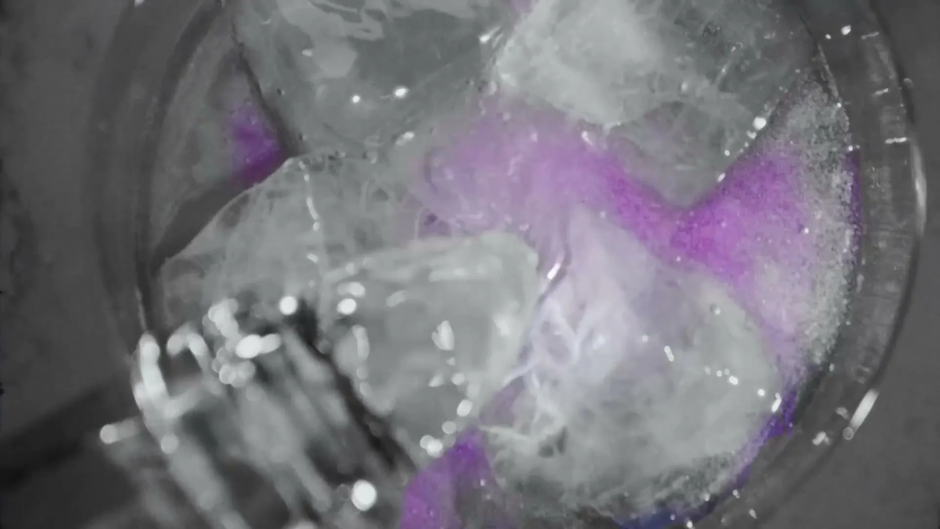 Empress 1908 Gin "Splash of Color" (2025) commercial still