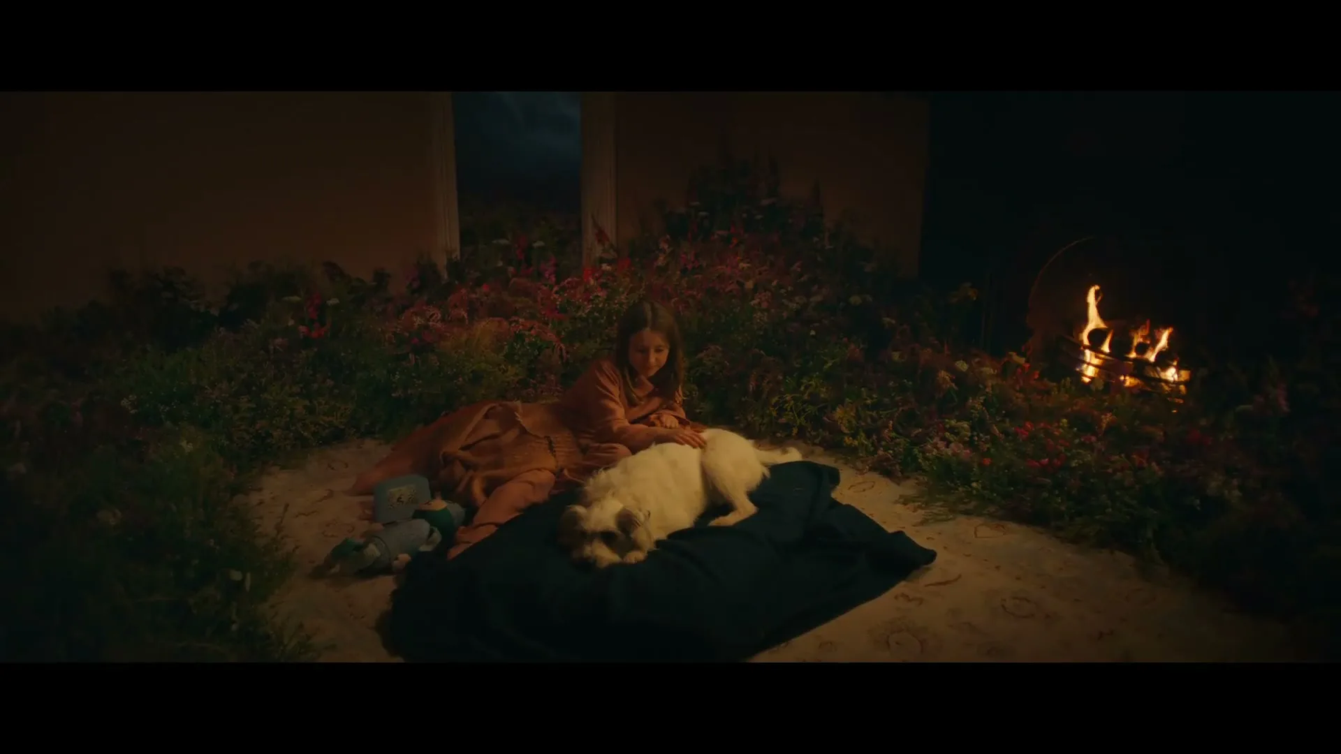 Mars "Pedigree - Dream Maker" (2024) commercial still