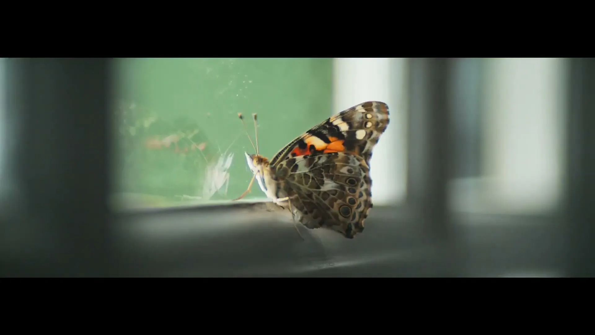 The Guardian “Hope Is Power” (2020), frame 5