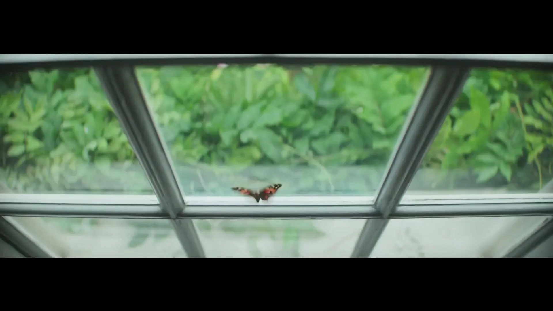 The Guardian “Hope Is Power” (2020), frame 6