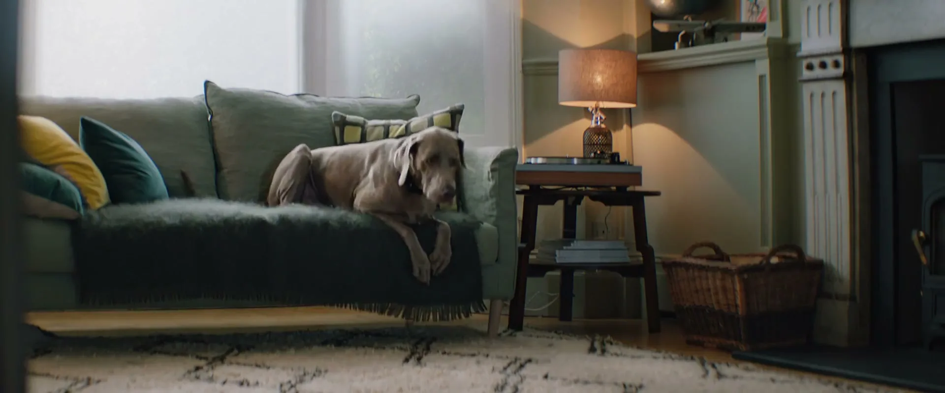 Jaguar “Pampered Pooch” (2019), frame 3