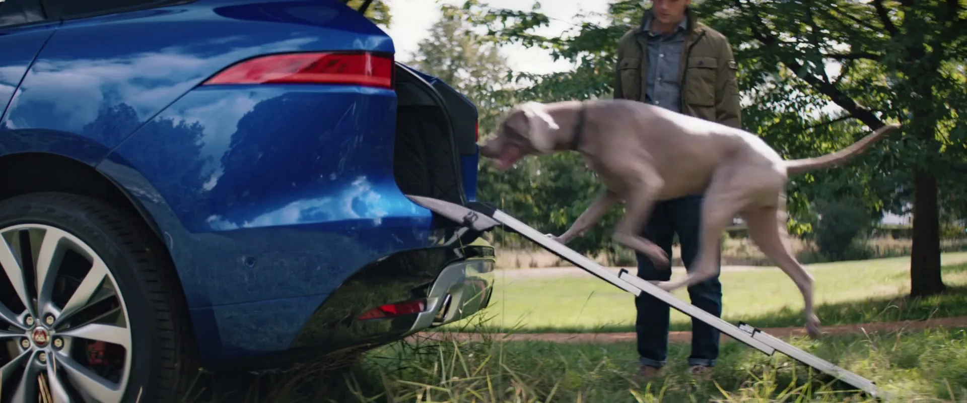 Jaguar “Pampered Pooch” (2019), frame 6