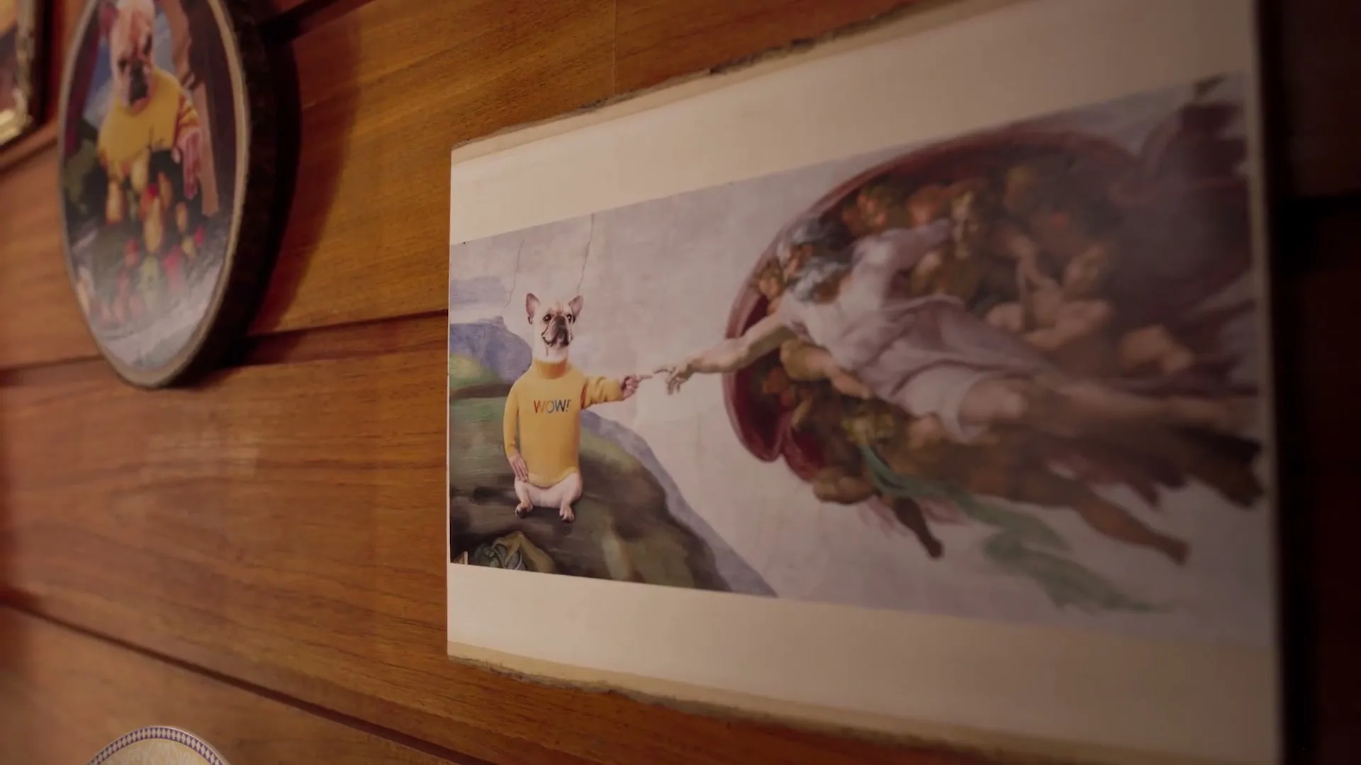WOW! "A Better Breed of Internet" (2025) commercial still