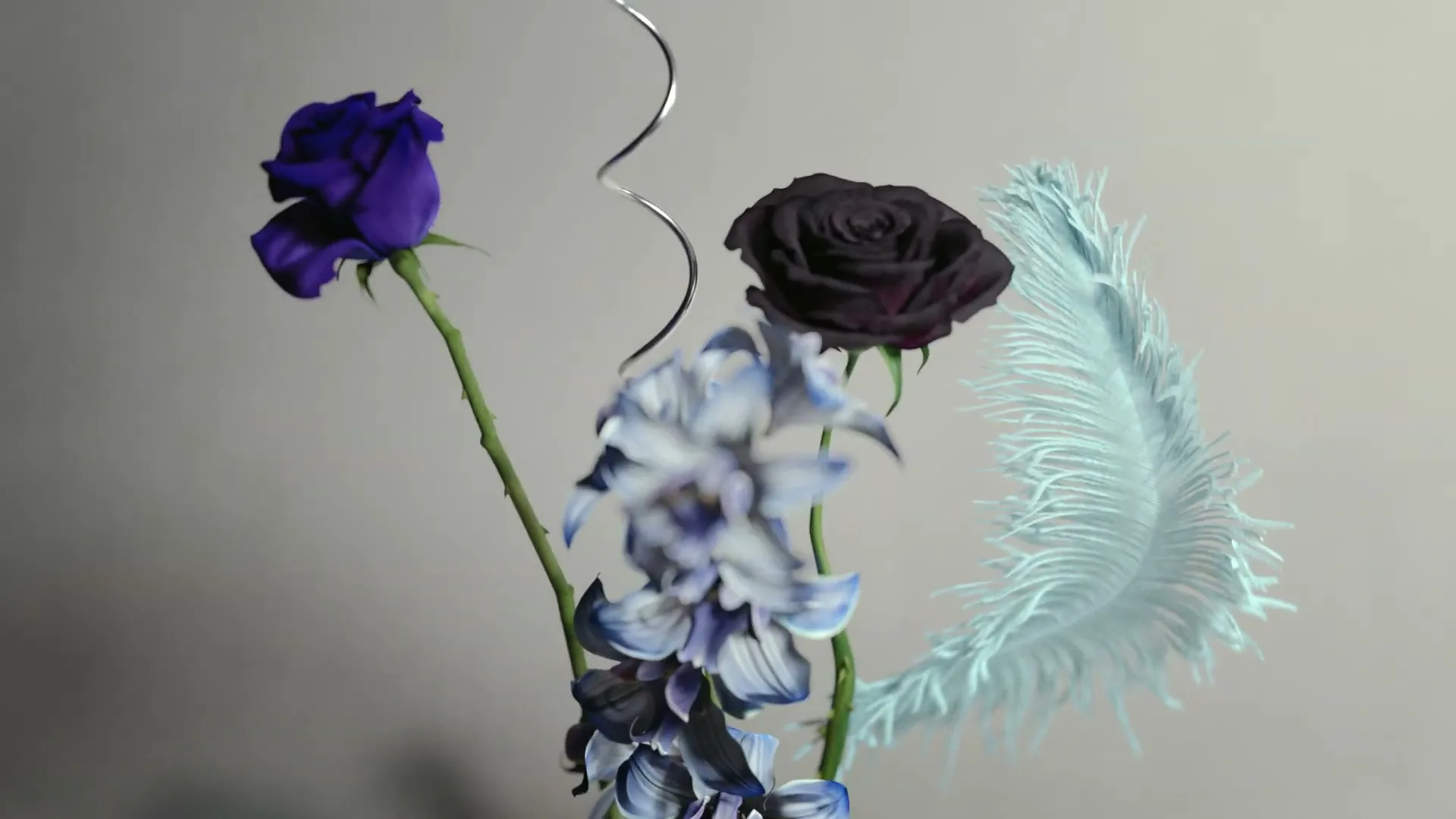 A close-up shot of a floral arrangement with purple roses, blue orchids, and a light blue feather, slowly coming into focus against a plain background.