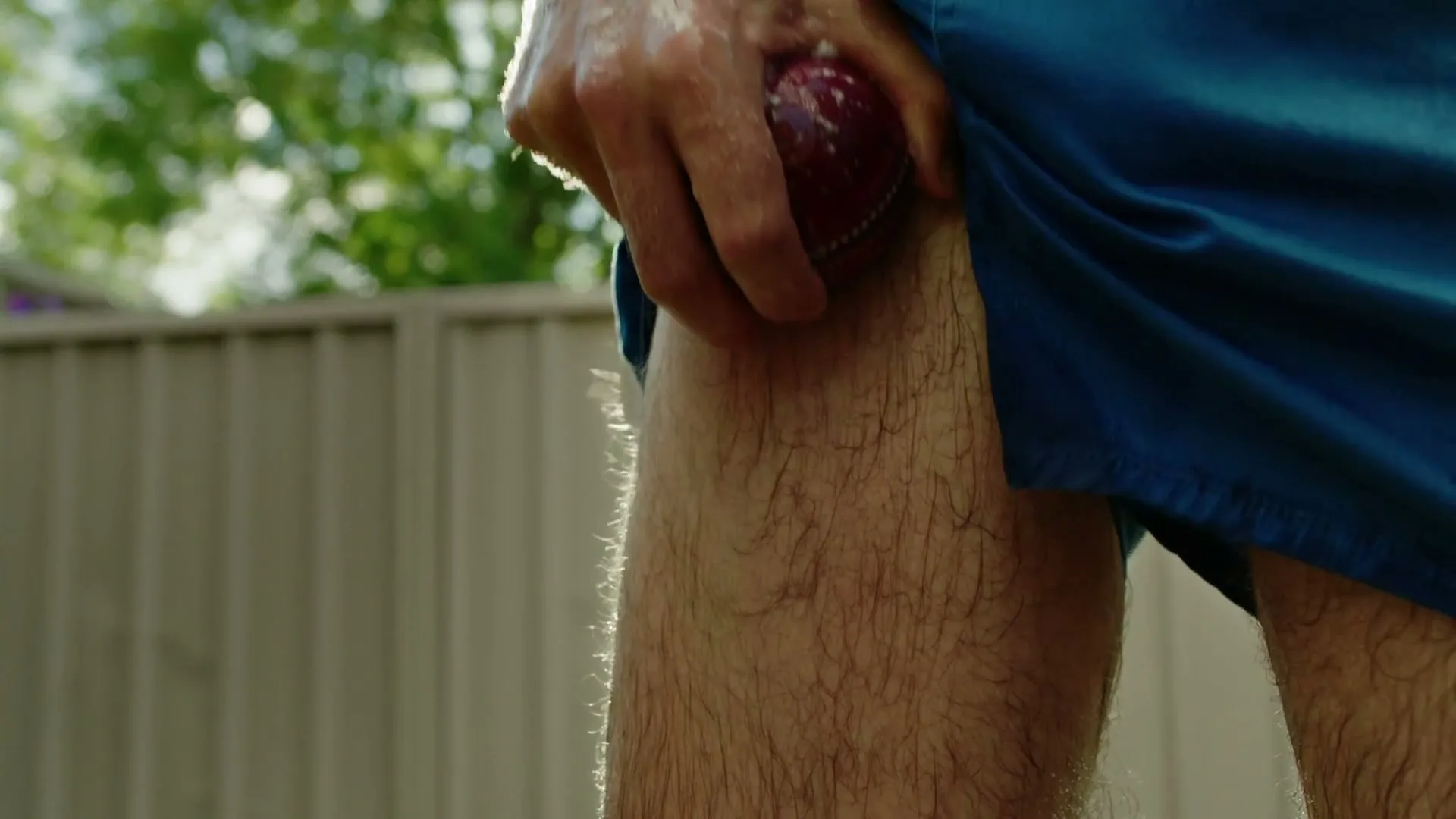 Pine O Cleen “Cricket” (2025), frame 4