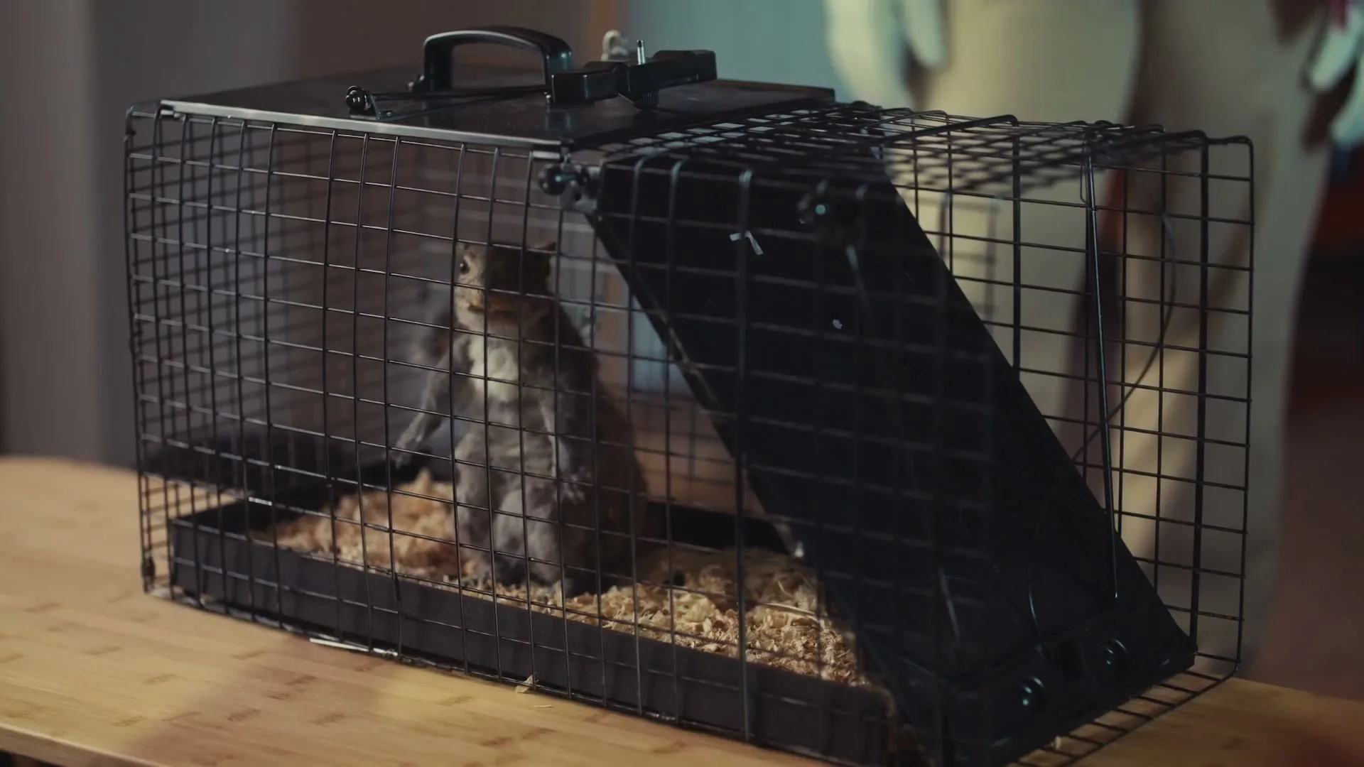 General Mills “Totino’s Pizza Rolls - Nothing Else Adds Up - Animal Control” (2025), frame 3