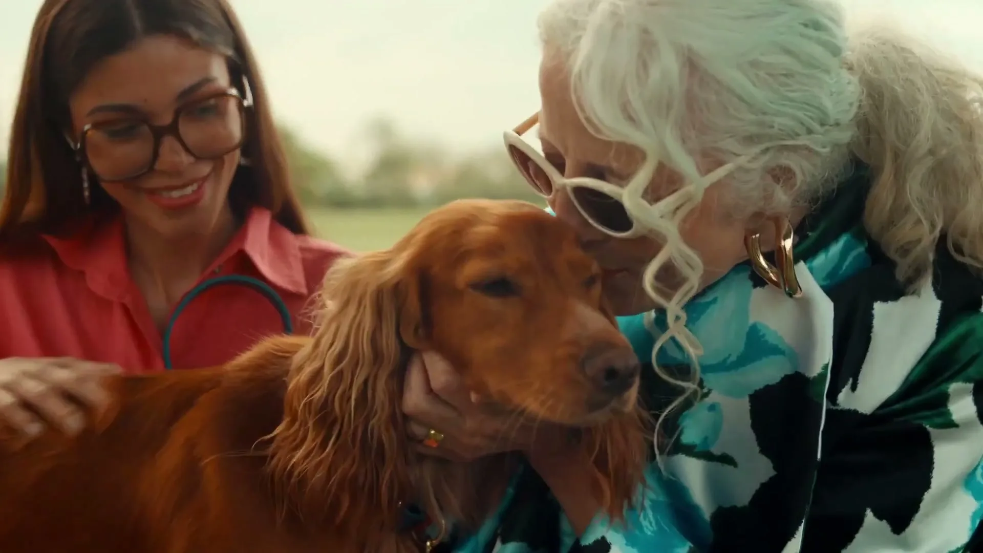Land Rover "Discovery Sport - Pet Pack" (2024) commercial still