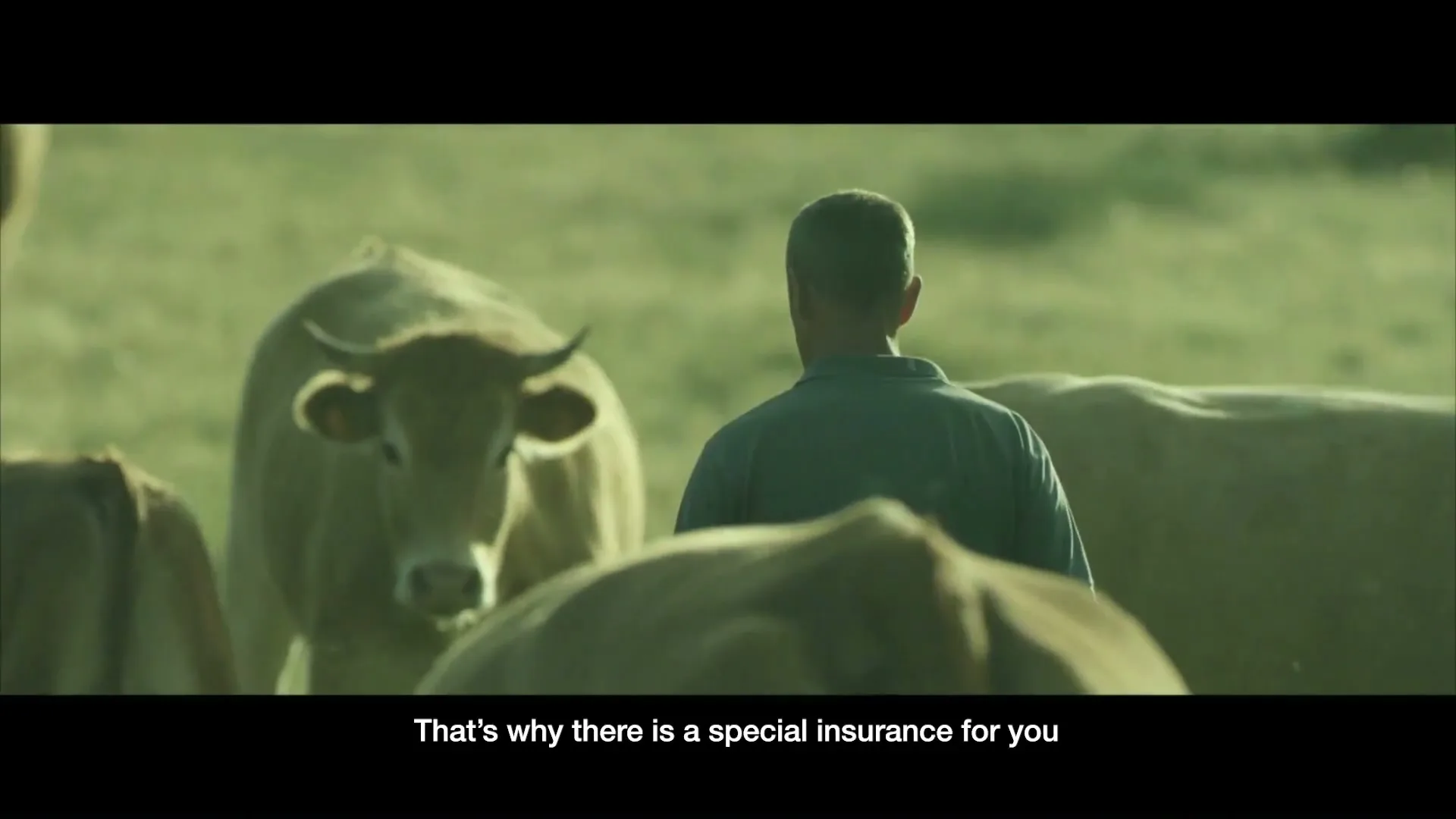 Agroseguros “Cattle Raising”, directed by Antártica