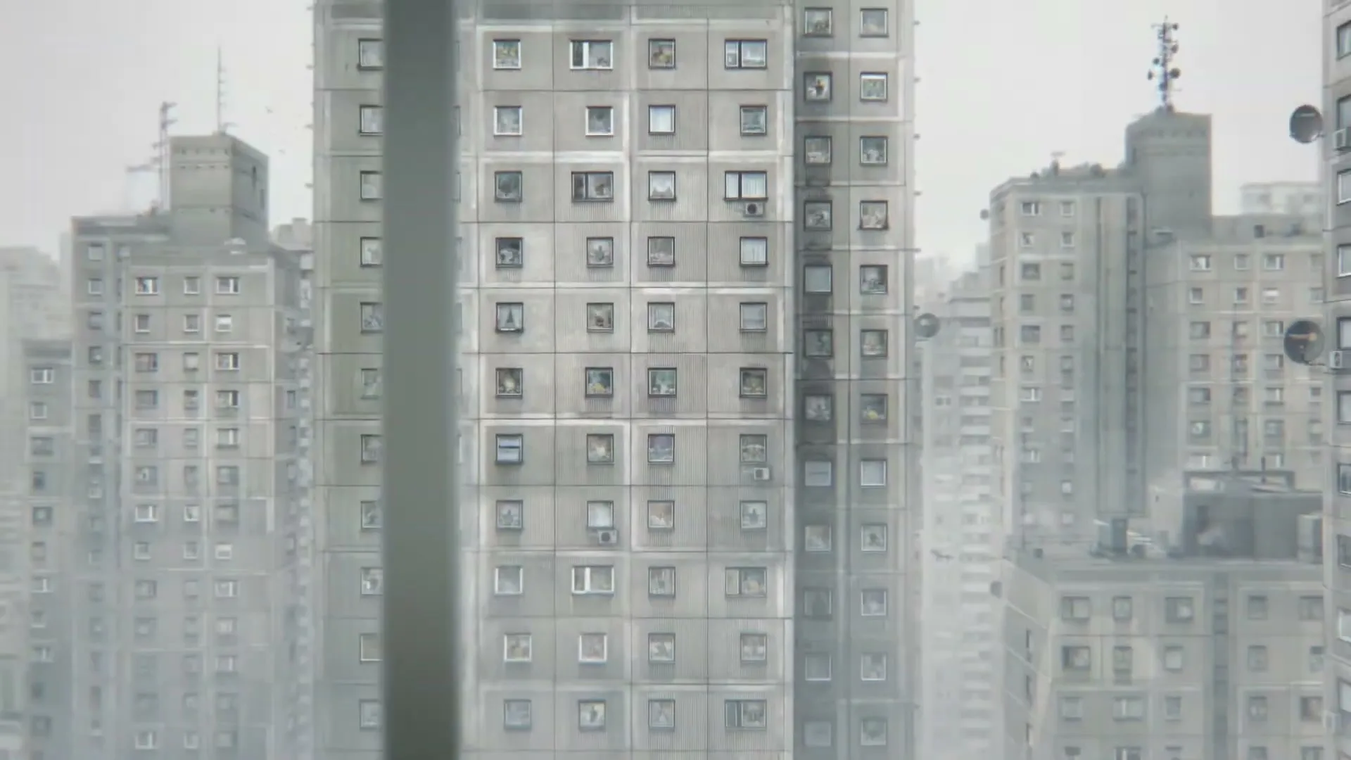 A woman with dark curly hair looks out a window at a large apartment building in a city, with plants on the windowsill.